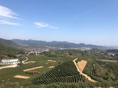 -龙坞茶村