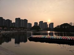 -新江湾城公园