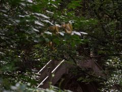 -宁波市保国寺古建筑博物馆