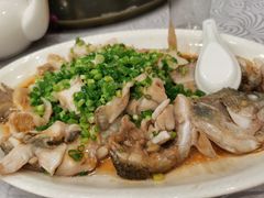 香葱淋鲈鱼-粤·向群饭店(龙津东路总店)