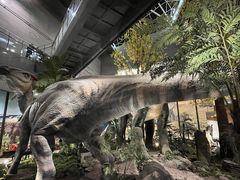 -湖南省地质博物馆