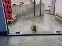 -安吉将军阁土菜馆(将军关漂流店)
