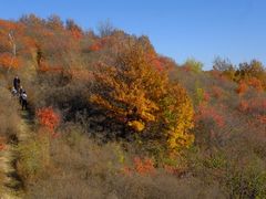 -北京西山国家森林公园