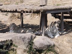 -宁波野生动物园