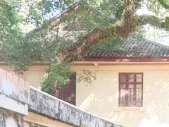 -广州鲁迅纪念馆(国民党一大旧址)
