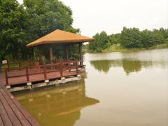 -宁波杭州湾国家湿地公园