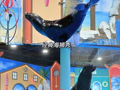 -重庆欢乐海底世界