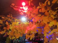 -醉小酒馆·川菜·江湖菜·重庆菜(观音桥旗舰店)