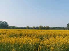 -汉长安城未央宫国家考古遗址公园