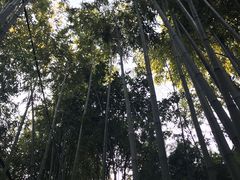 -宣和苑(华侨新村店)