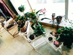 -Eling伊林彩妆·化妆培训(河西奥体店)