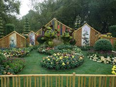 -上海共青森林公园