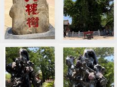-大槐树寻根祭祖园