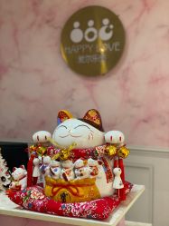 -爱尔乐美孕产瑜伽·普拉提