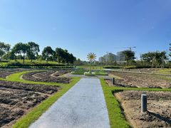 -春花秋色城市公园