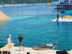 -秦皇岛乐岛海洋王国