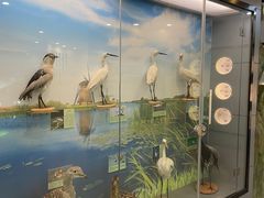 -下渚湖国家湿地公园科普馆