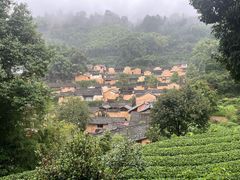 -杨家堂村