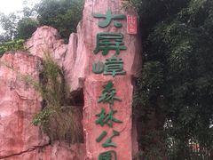 -大屏嶂森林公园