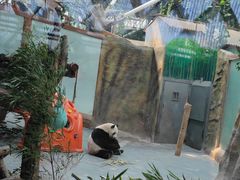 -青藏高原野生动物园