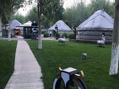 -九十九顶毡房(阜石路店)