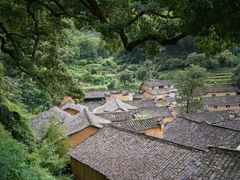 -杨家堂村