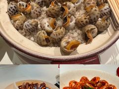 -侨美·唐荔园·40年地道粤菜