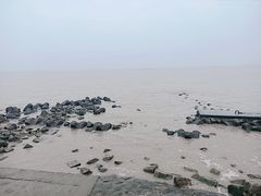 -南汇嘴观海公园