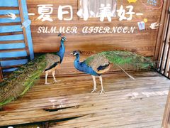-天目湖涵田度假村