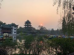 -桂湖森林公园