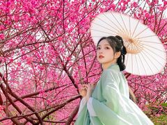 -重庆彩云湖湿地公园