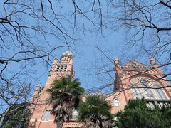 -上海佘山国家森林公园西佘山园