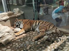 -五龙山野生动物王国