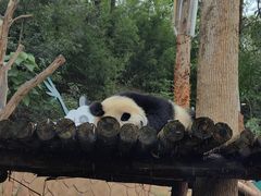 -乐和乐都主题乐园