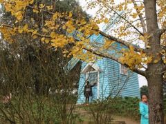 -铁山坪森林公园