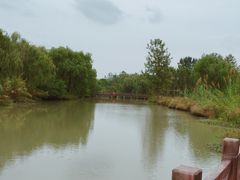 -溱湖国家湿地公园