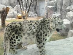 -青藏高原野生动物园