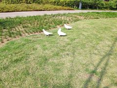 -顺峰山公园