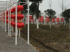 -金卉庄园