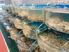 -仙螺岛海鲜自助餐厅(总店)