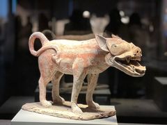 -大同市博物馆