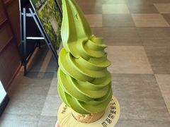 -陆羽泡的茶(集散中心店)