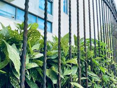 -虹桥社区卫生服务中心万源分中心