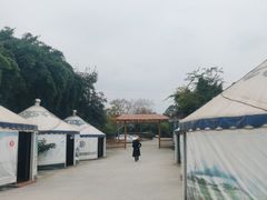 -巴山·烤全羊(高新总店)