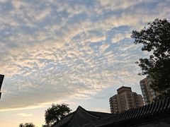 -锦尚阁烤鱼•天津菜(宣武门胡同店)
