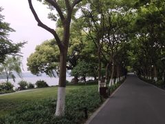 -苏堤停车场