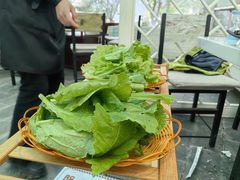 -蘑统田下·野生菌火锅