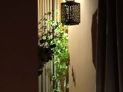 -泰·菩提树下[泰式按摩x精油SPAx肩颈头疗](新景店)