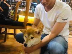 -more than meow吴止猫主题餐厅(承德 中船汇店)