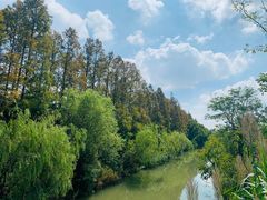 -上海长兴岛郊野公园